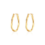 Twisted Wire U-shaped Earring Eardrop Titanium Steel