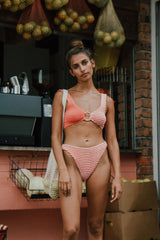 CLEONIE RIPPLE BRIEF (all colours)