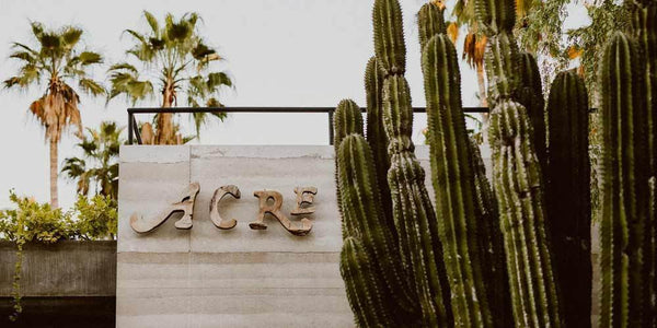 Acre Baja - Mexico's newest hot spot