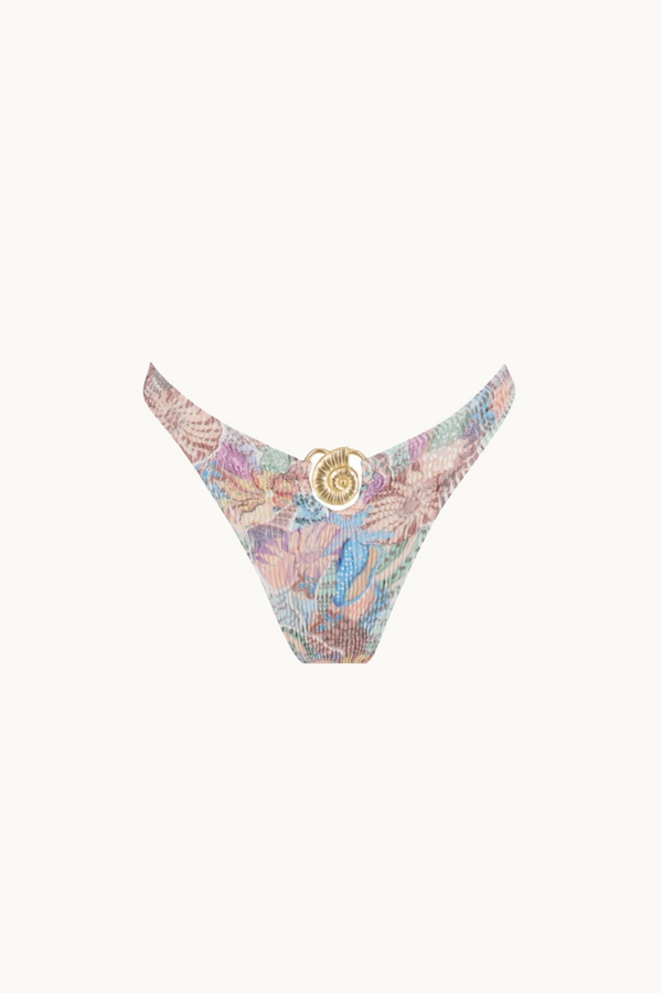 QUEEN BRIEF - PACIFICA SHELL
