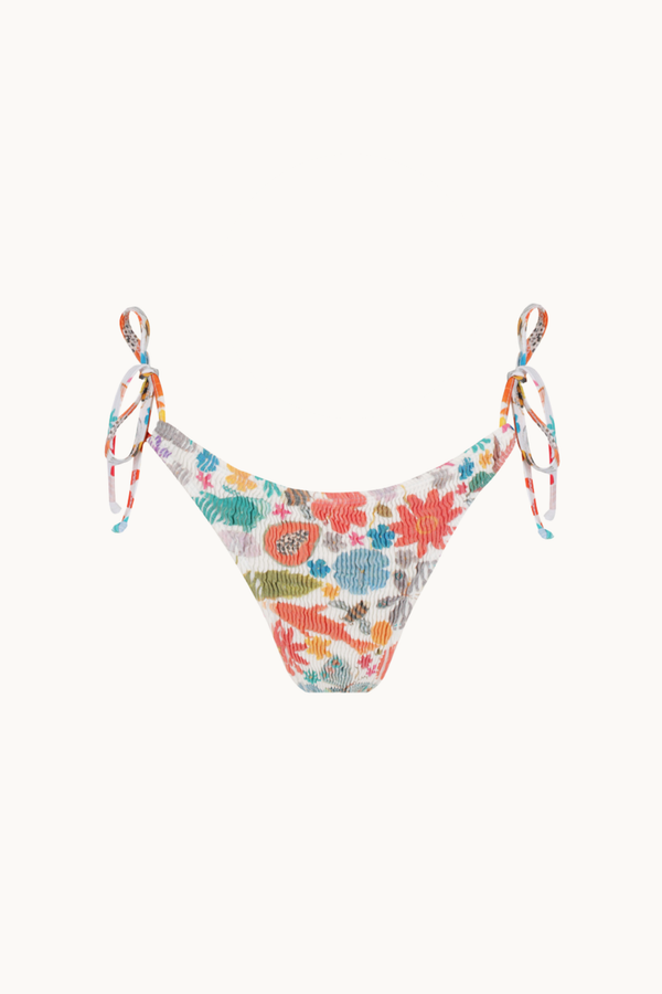 BROOK BRIEF - BOTANICA