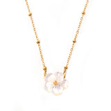 White Sea Shell Flowers