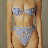 Shell Tamarindo Binded Bikini Bottom
